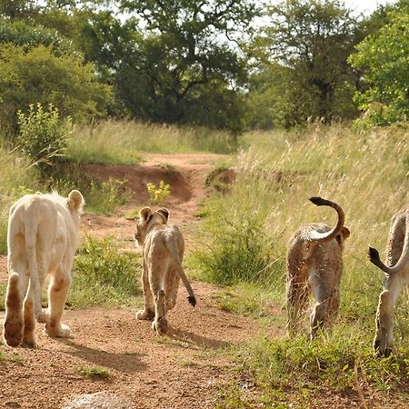 Ukutula Lion Lodge Beestekraal  Esterno foto